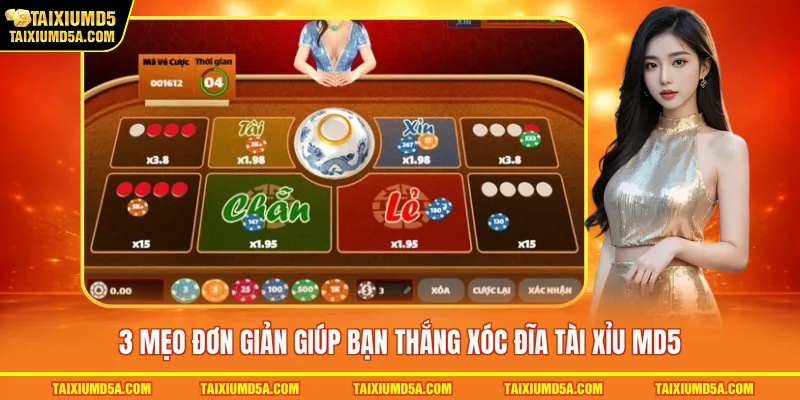 3 mẹo đơn giản giúp bạn thắng xóc đĩa tài xỉu MD5